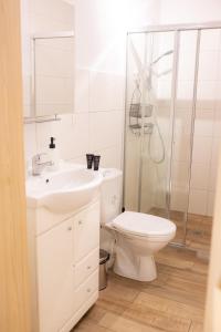 a bathroom with a toilet and a sink and a shower at Domek na Lipowej in Stare Miasto +5 photos