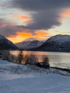 Φυσικό τοπίο κοντά σε αυτή η εξοχική κατοικία +20 φωτογραφίες