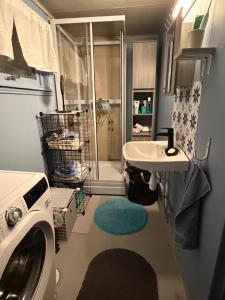 Η κουζίνα ή μικρή κουζίνα στο Above The Arctic circle