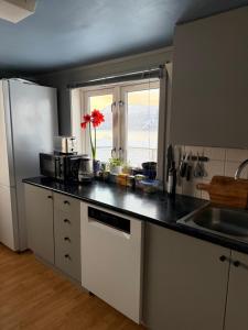 Η κουζίνα ή μικρή κουζίνα στο Above The Arctic circle