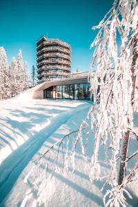 Apartmány PANORAMA Bachledka om vinteren