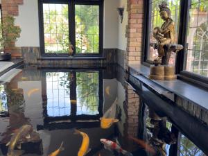 Fotografie z fotogalerie ubytování Balancyoga Guesthouse v destinaci Ash