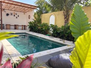 a swimming pool in front of a house at D'rei guesthouse in Canggu