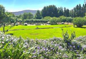 Naturlandskabet i nærheden af feriehuset