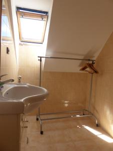 a bathroom with a sink and a skylight at Bizoní dvůr in Řetenice