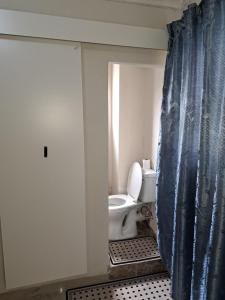 Nexus Guest House Alberton في ألبرتون: حمام مع مرحاض وستارة دش زرقاء