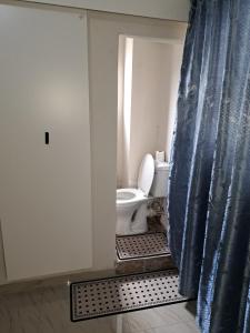 Nexus Guest House Alberton في ألبرتون: حمام مع مرحاض وستارة دش زرقاء +33 صورة
