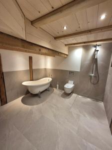 a bathroom with a sink and a toilet at Kleine Heubühne im Emmental mit 2 Schlafzimmer und 2 Schlafsofas in Rüegsbach