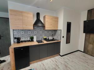 Η κουζίνα ή μικρή κουζίνα στο Apartamenty Królówka +30 φωτογραφίες