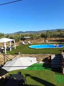 Πισίνα στο ή κοντά στο Douro Nature With Pool House