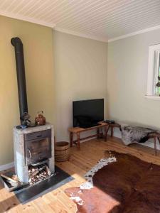 a living room with a stove and a tv at Huisje weltevreden in Ekshärad