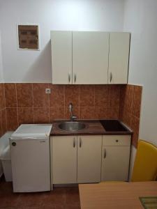 Η κουζίνα ή μικρή κουζίνα στο Apartmani Kojovic +13 φωτογραφίες