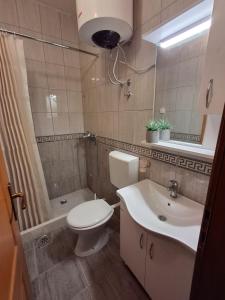 Ένα μπάνιο στο Apartmani Kojovic +12 φωτογραφίες