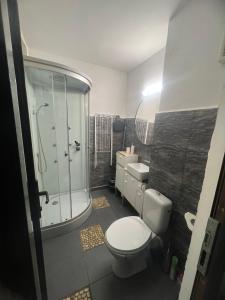 Un baño con ducha, inodoro y lavabo. en Open Space Mini Craiovei, en Piteşti
