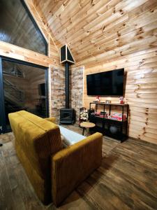 TV a/nebo společenská místnost v ubytování Cabana ONYX Baile Olanesti