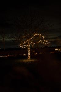 Fotografie z fotogalerie ubytování Hoeve Hazegras v destinaci Knokke-Heist