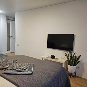 TV a/nebo společenská místnost v ubytování Buto nuoma Žemaitės gatvėje