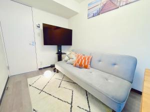 a living room with a couch and a flat screen tv at 新宿駅まで12分渋谷駅まで22分最大8名様宿泊可能4ベッドルーム in Ogikubo +62 photos