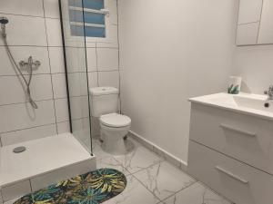 a bathroom with a shower and a toilet and a sink at Kaz Lorizon in Petite Île