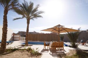 Dar Ali - Comfort stay في توزر: فناء به طاولة ومظلة وأشجار نخيل