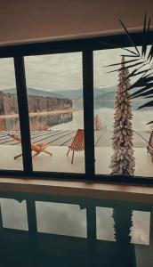 een raam met uitzicht op een kerstboom. bij Moon Lake Bicaz - Aurora Sky in Buhalniţa