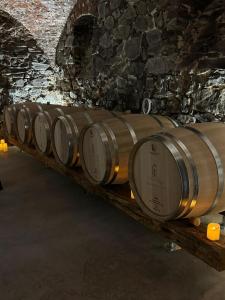 Φωτογραφία από το άλμπουμ του Pensiunea Nimbus σε Arad