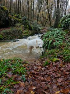 Φυσικό τοπίο κοντά σε αυτή η παραθεριστική κατοικία