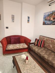 Фотография из галереи House Y clinique Manar et Campus в Тунисе