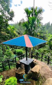 Cool Garden belihuloya في بيلهول اويا: مظلة ملونة موضوعة فوق مقعد