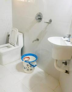 Hallibailu Cottage في Jāmb: حمام أبيض مع مرحاض ومغسلة