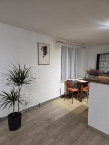 a living room with a table and a potted plant at Willa MARSI in Stalowa Wola