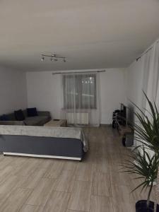 a living room with a bed and a couch at Willa MARSI in Stalowa Wola