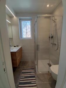 a bathroom with a shower and a toilet and a sink at Charme et authenticité pour 4 personnes 