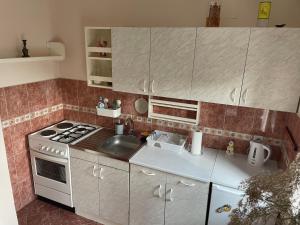 Η κουζίνα ή μικρή κουζίνα στο Apartman Lavanda