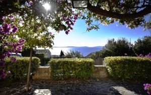 Φυσικό τοπίο κοντά σε αυτό το διαμέρισμα