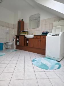 ein Bad mit einem Waschbecken und einem Kühlschrank in der Unterkunft Flonta Ferienwohnung in Mittweida