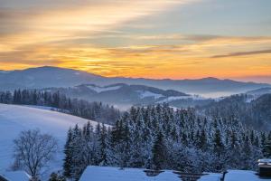 Phong cảnh thiên nhiên gần khách sạn