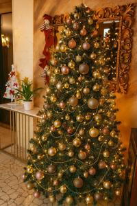 阿巴诺泰尔梅MB Place Abano Terme的房间里有一棵挂满彩球的圣诞树