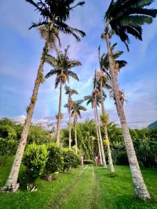Φωτογραφία από το άλμπουμ του Finca La Carmelita Casa Campestre con Piscina y entre Montañas a sólo minutos de Santa Rosa de Cabal σε Santa Rosa de Cabal +44 φωτογραφίες