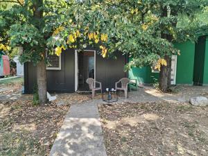 two chairs under two trees in front of a building at Black House Spa in Gamzigrad