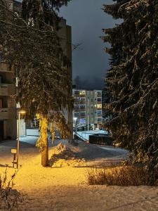 a snow covered park with trees and buildings at night at Tievastreet Harmony Apartment in Rovaniemi +13 photos