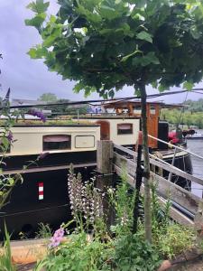 a boat is docked in the water next to a tree at Houseboat Tante Piet in Amsterdam