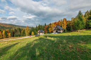 Zielone Wzgórze Sidzina في Sidzina: اطلالة جوية على منزل وسط ميدان