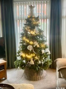 a christmas tree with lights on it in a room at 2025 Traveller award winner Just bring clothes in West Kirby