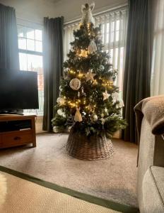 a christmas tree with lights in a living room at 2025 Traveller award winner Just bring clothes in West Kirby