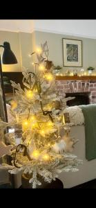 a christmas tree with lights on it in a living room at 2025 Traveller award winner Just bring clothes in West Kirby