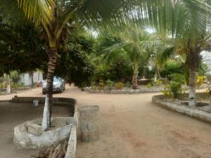 een binnenplaats met palmbomen en een geparkeerde auto bij Hôtel auberge Sankaranka in Abémé