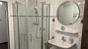 un bagno con doccia, lavandino e specchio di Zum Rosenhügel a Hellenthal Altre 32 foto