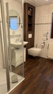 un bagno con lavandino, WC e specchio di Zum Rosenhügel a Hellenthal