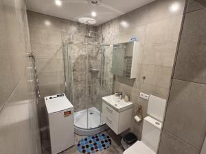 a bathroom with a shower and a toilet and a sink at Aurelija in Daugavpils